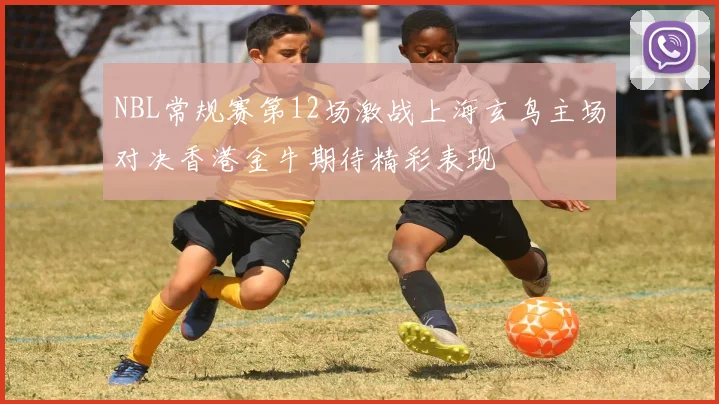 NBL常规赛第12场激战上海玄鸟主场对决香港金牛期待精彩表现